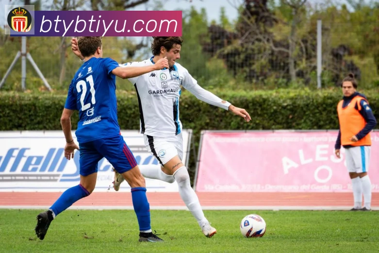 B体育平台生态图